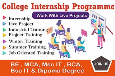 College Internship Program